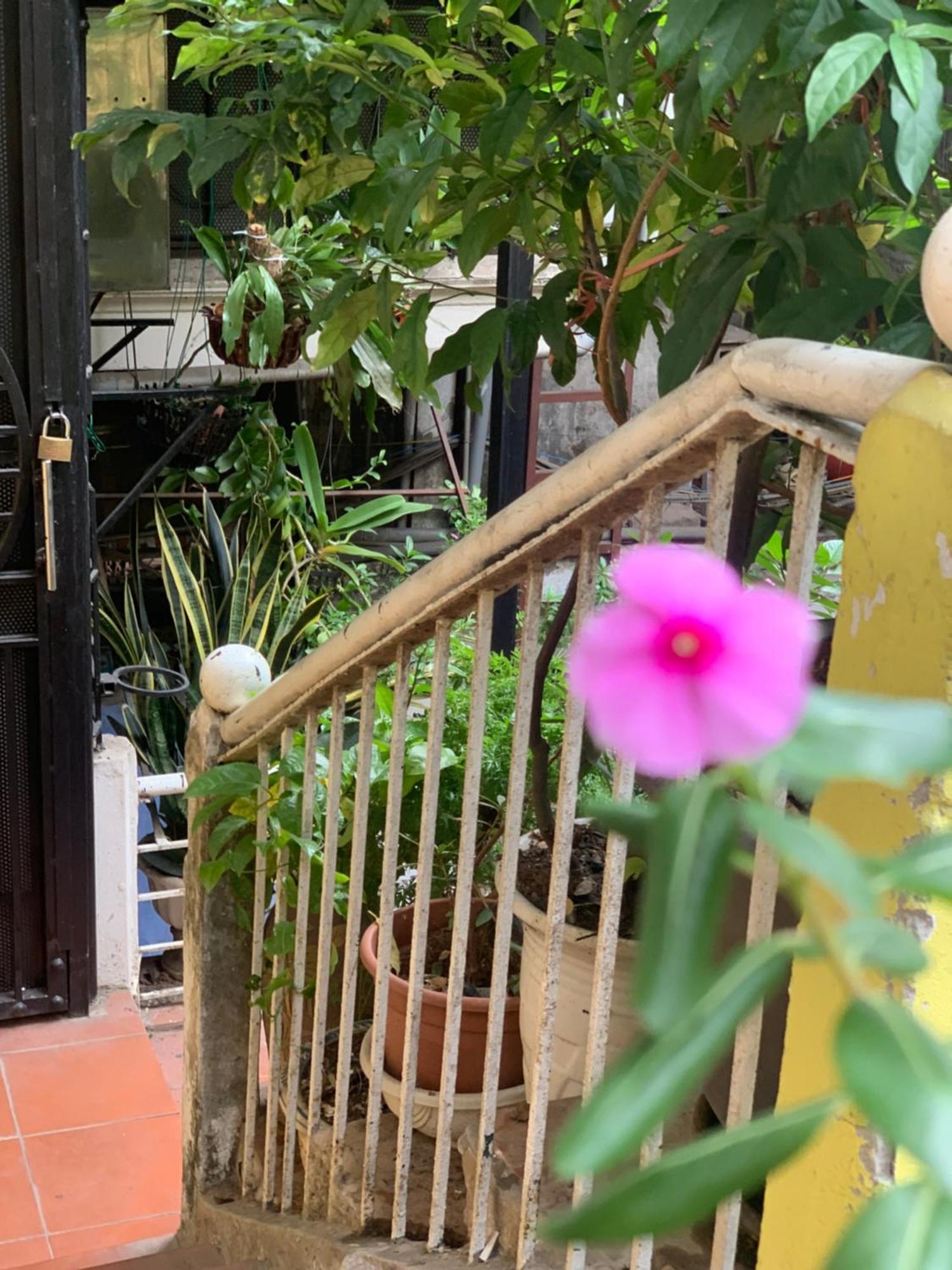 Charmcham House Lägenhet Hanoi Exteriör bild