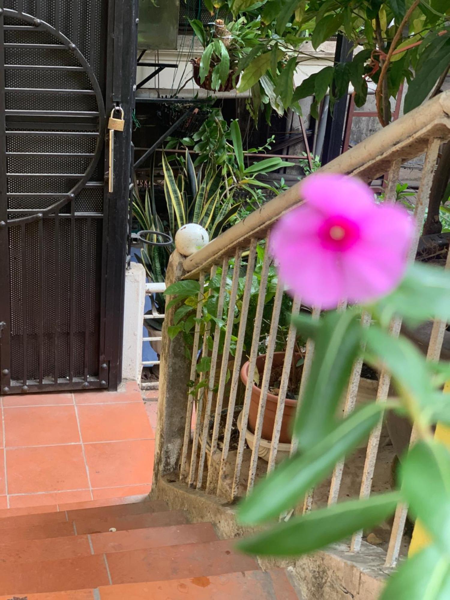 Charmcham House Lägenhet Hanoi Exteriör bild